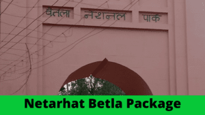 Netarhat Betla Package