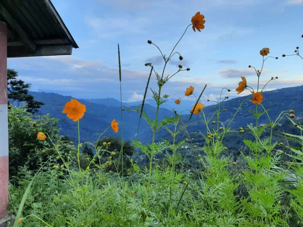 NORTH BENGAL PACKAGE