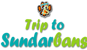 sundarban tour package