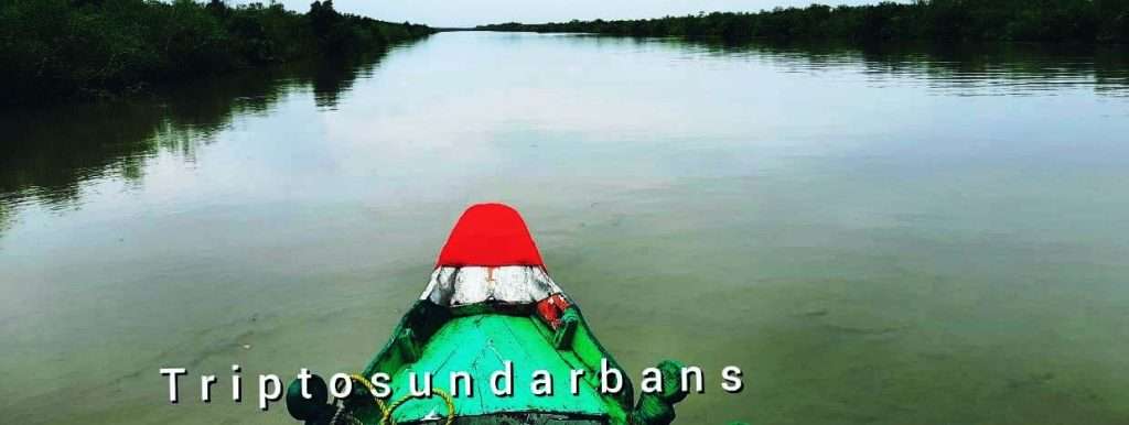 sundarban package tour