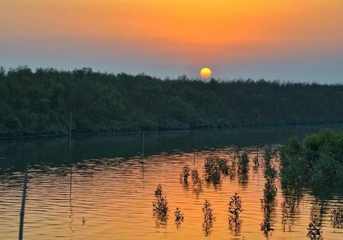 SUNDARBAN day TOUR