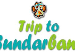 sundarban tour package